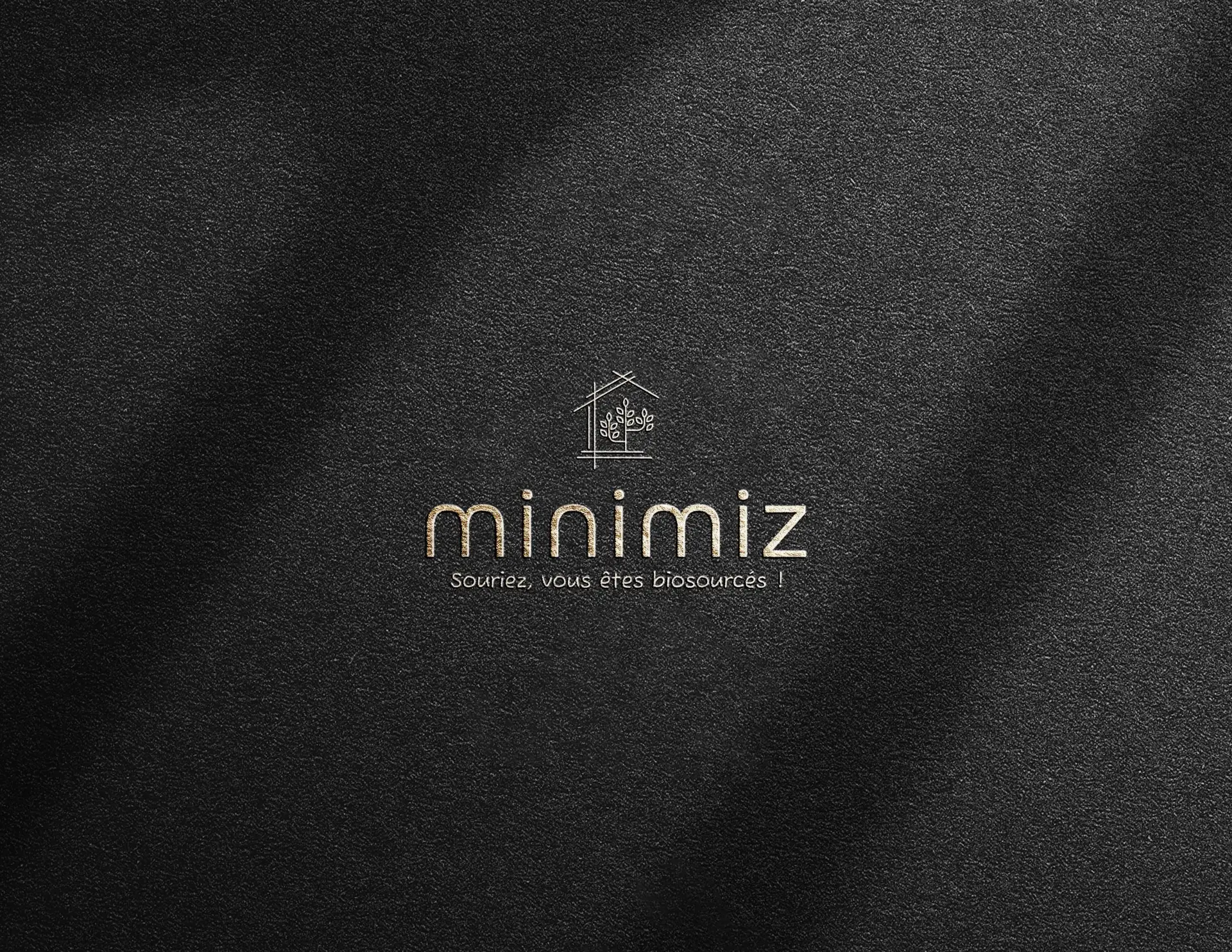minimiz, création de l'identité visuelle et du site internet, accompagnement réseaux sociaux, par l'agence de communication Shebam, à Dinan Taden, Bretagne